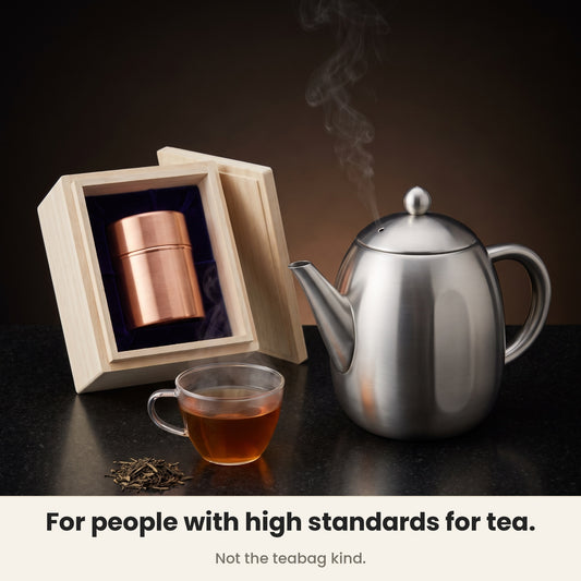 InstaCuppa Stainless Steel Teapot - loose-leaf tea, brewed properly · 1.2 L · 6 cups