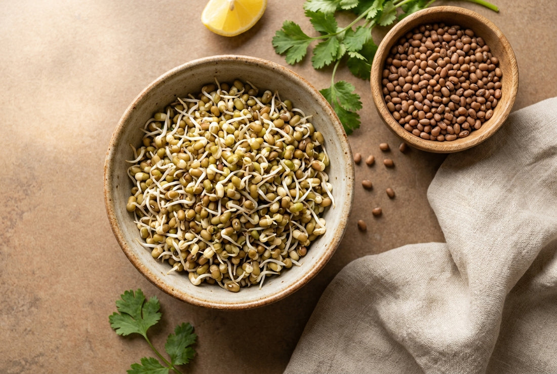 Bowl of fresh matki moth bean sprouts beside dry moth beans