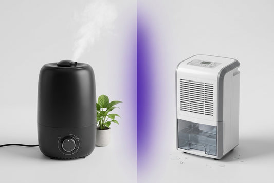 Humidifier vs dehumidifier comparison for Indian homes
