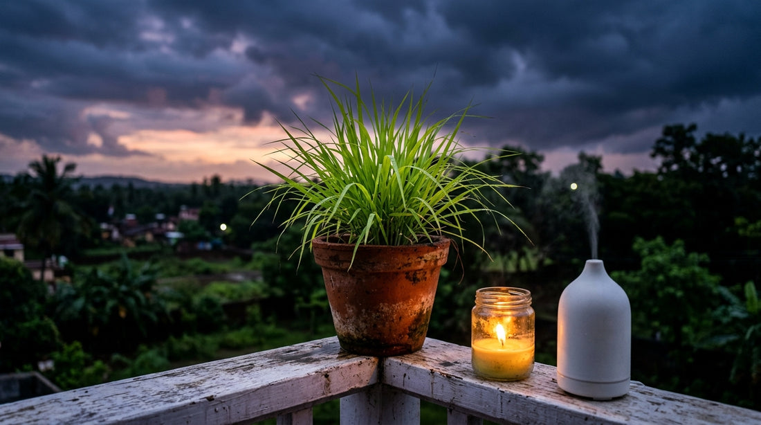 Citronella oil uses for diffuser