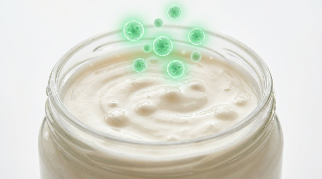 Probiotic Curd: What Makes It Different and How to Make It