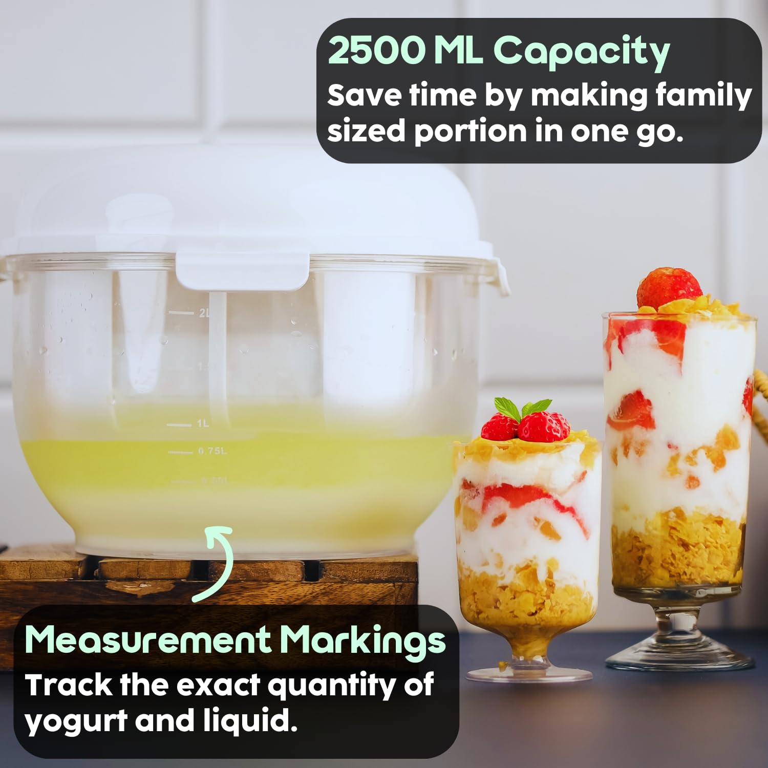 InstaCuppa Greek Yogurt Maker 2.5 Litres | BPA-Free Strainer & Container with Nylon Inner Mesh for Thick Homemade HungCurd | Ideal for Low Fat & High Protein Yogurt