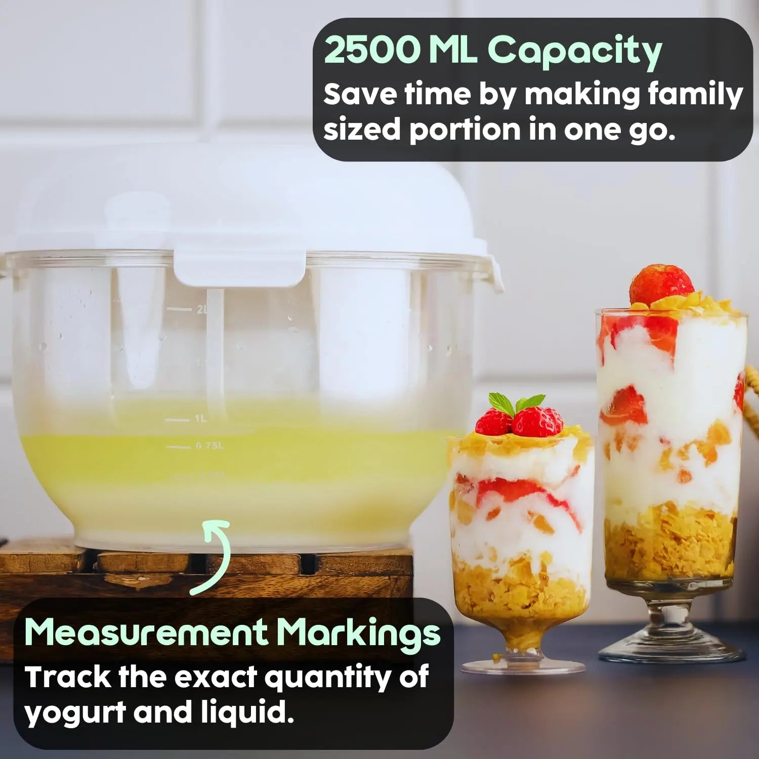 InstaCuppa Greek Yogurt Maker Large | BPA-Free Strainer & Container with Nylon Inner Mesh for Thick Homemade HungCurd | Ideal for Low Fat & High Protein Yogurt - 2.5 Litres Capacity 