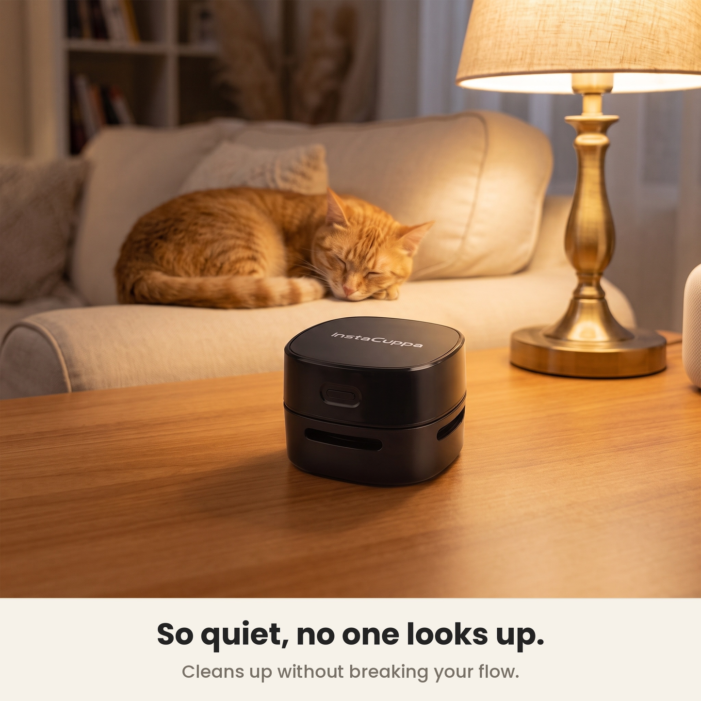 InstaCuppa quiet desk vacuum cleaning in the evening while the cat sleeps undisturbed – Battery Edition