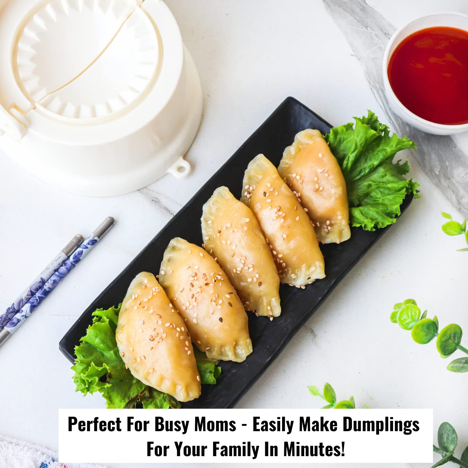 InstaCuppa Dumpling Maker and Momos Maker, 2 in 1 Press and Mould Manual Dumpling Maker