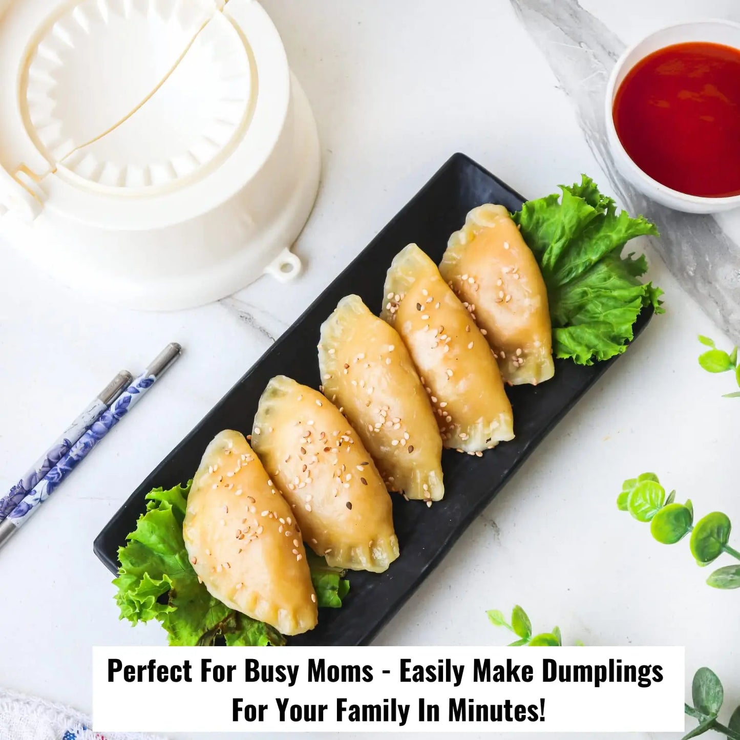 InstaCuppa Dumpling Maker and Momos Maker, 2 in 1 Press and Mould Manual Dumpling Maker 