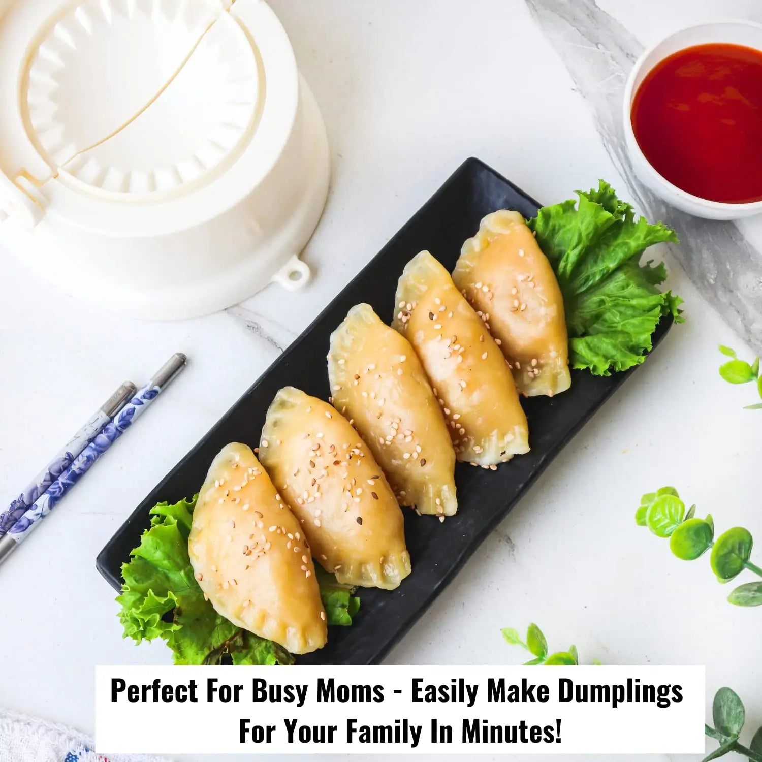 InstaCuppa Dumpling Maker and Momos Maker, 2 in 1 Press and Mould Manual Dumpling Maker 